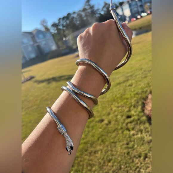 Silver Serpenti Snake Necklace-Bracelet Multifunctional - Picture 10 of 14